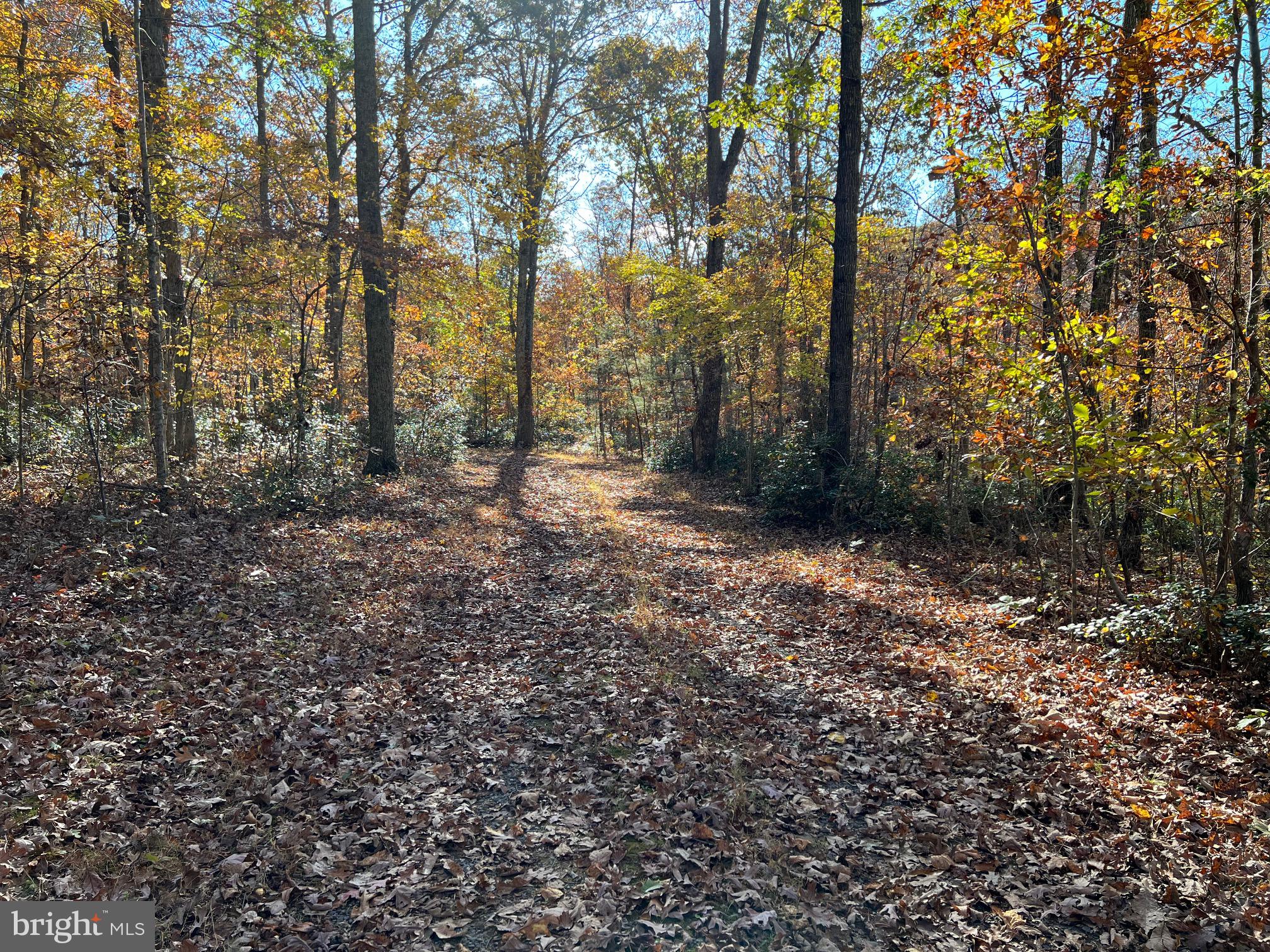 0 Castleton Ford Road Castleton, VA 22716 - Photo 4 of 12 Driveway at Main Entrance