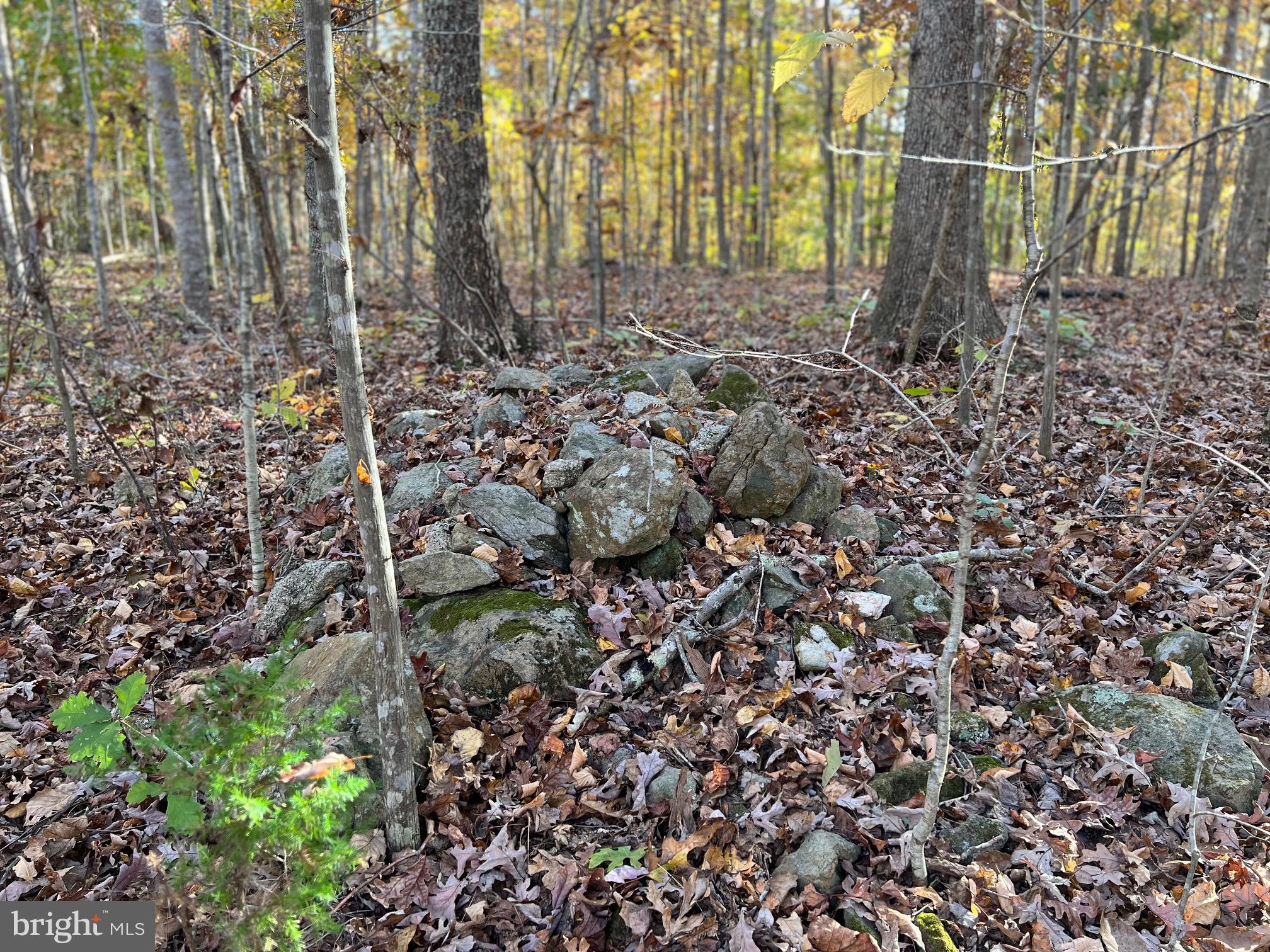 0 Castleton Ford Road Castleton, VA 22716 - Photo 5 of 12 Stones Surround the Property