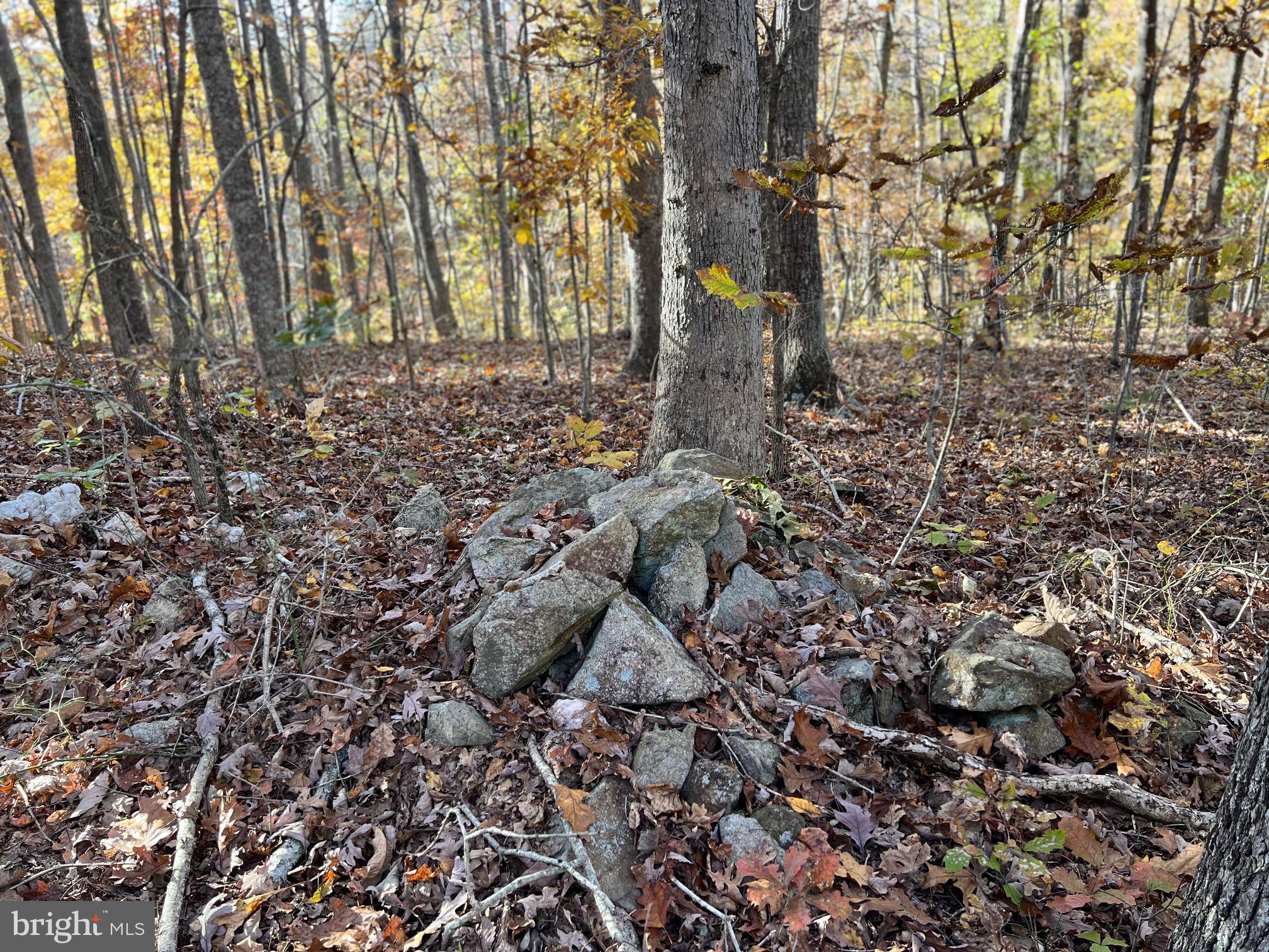 0 Castleton Ford Road Castleton, VA 22716 - Photo 6 of 12