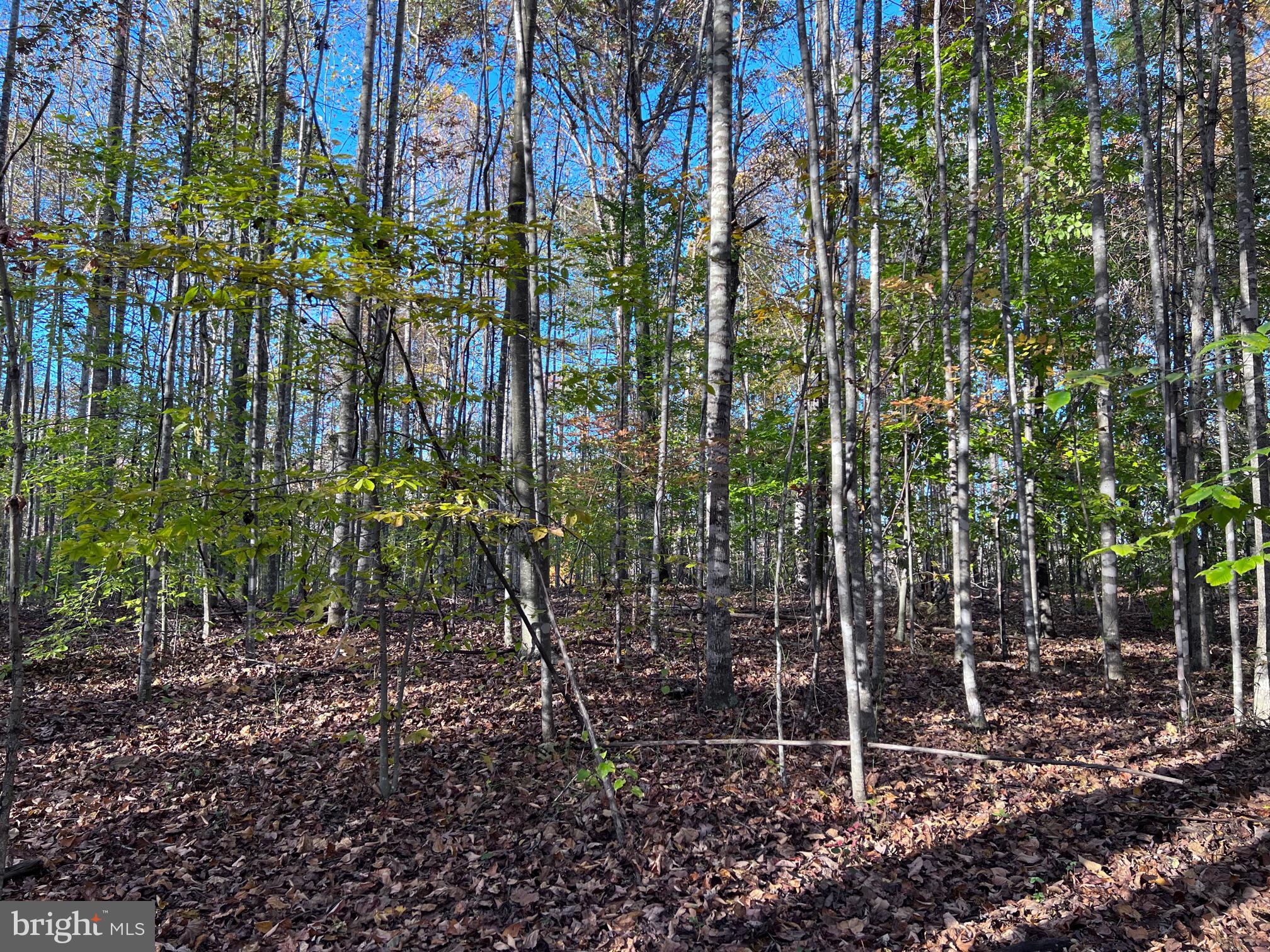 0 Castleton Ford Road Castleton, VA 22716 - Photo 9 of 12 Another House Site