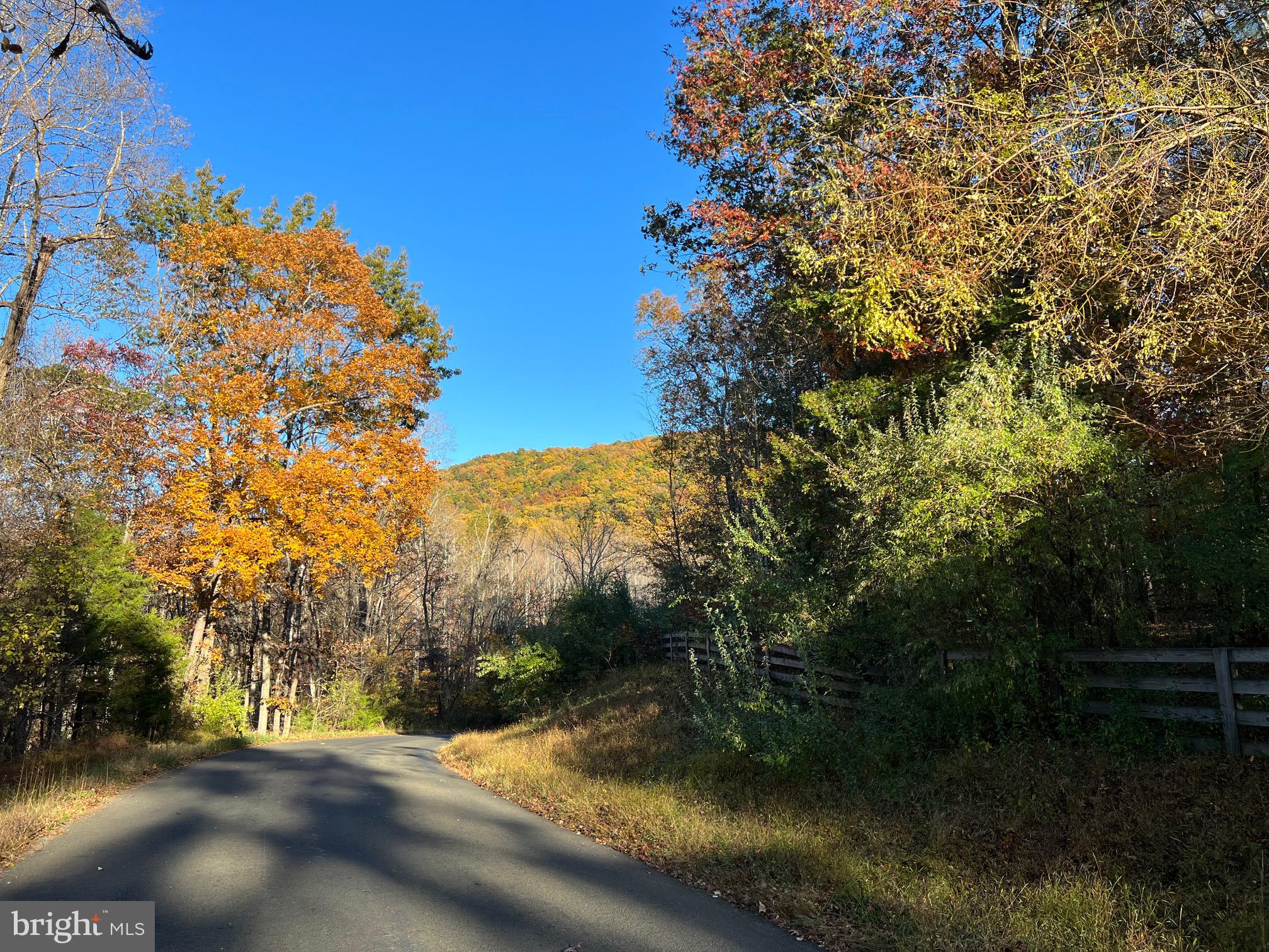 0 Castleton Ford Road Castleton, VA 22716 - Photo 10 of 12 View of Castle Mountain