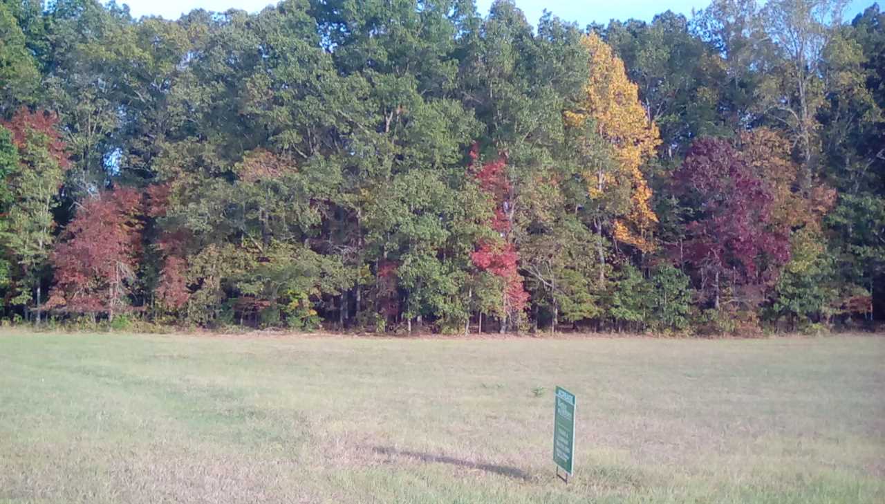 Stagecoach Road Pauline, SC 29374 - Photo 2 of 8 Gallery Image 2