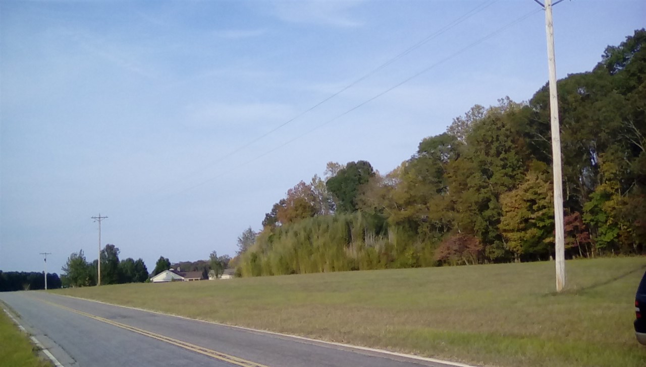 Stagecoach Road Pauline, SC 29374 - Photo 4 of 8 Gallery Image 4