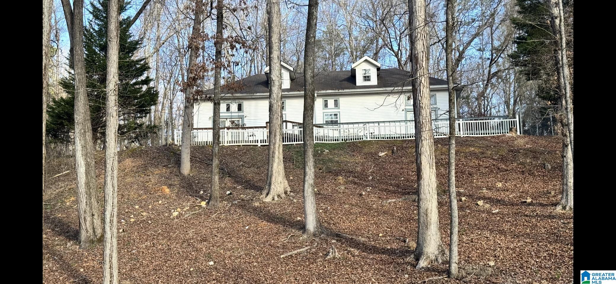 1020 Springhill Road Talladega, AL 35160 - Photo 9 of 40