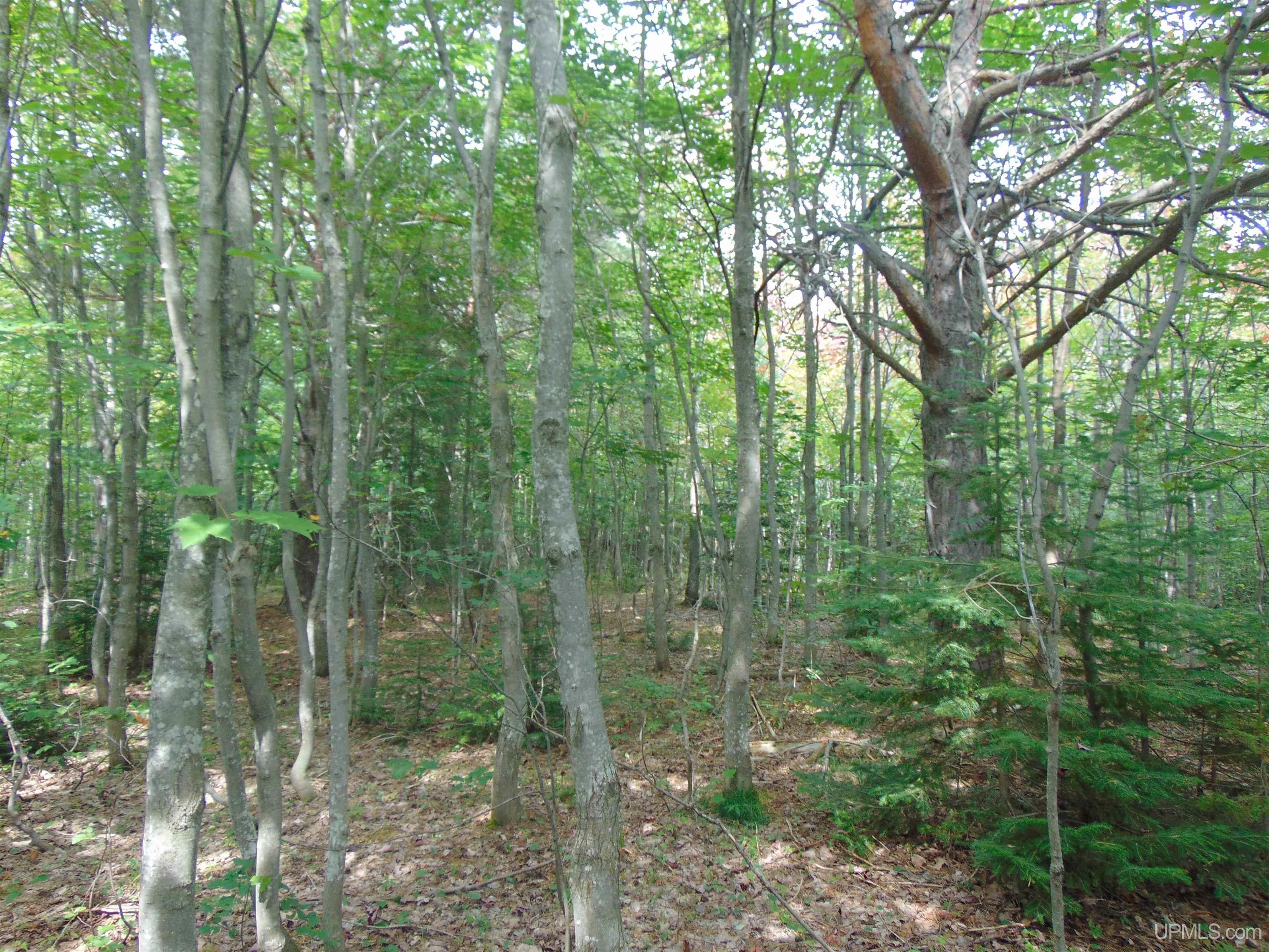 15 Coles Creek Road Atlantic Mine, MI 49905 - Photo 28 of 31