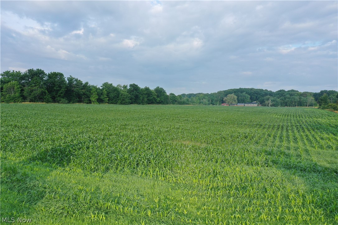 5201 Emerson Road Madison, OH 44057 - Photo 6 of 50