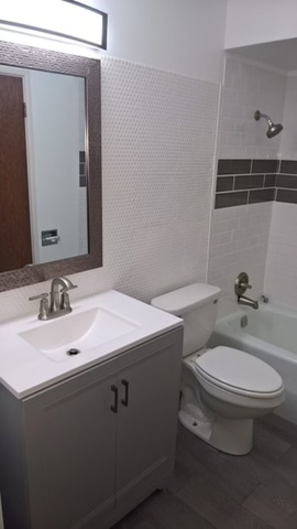 903 Elder Road, Unit 4 Homewood, IL 60430 - Photo 8 of 17 a bathroom with a toilet sink and mirror