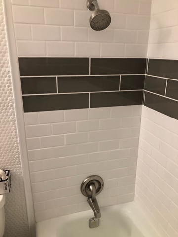 903 Elder Road, Unit 4 Homewood, IL 60430 - Photo 10 of 17 a bathroom with a shower