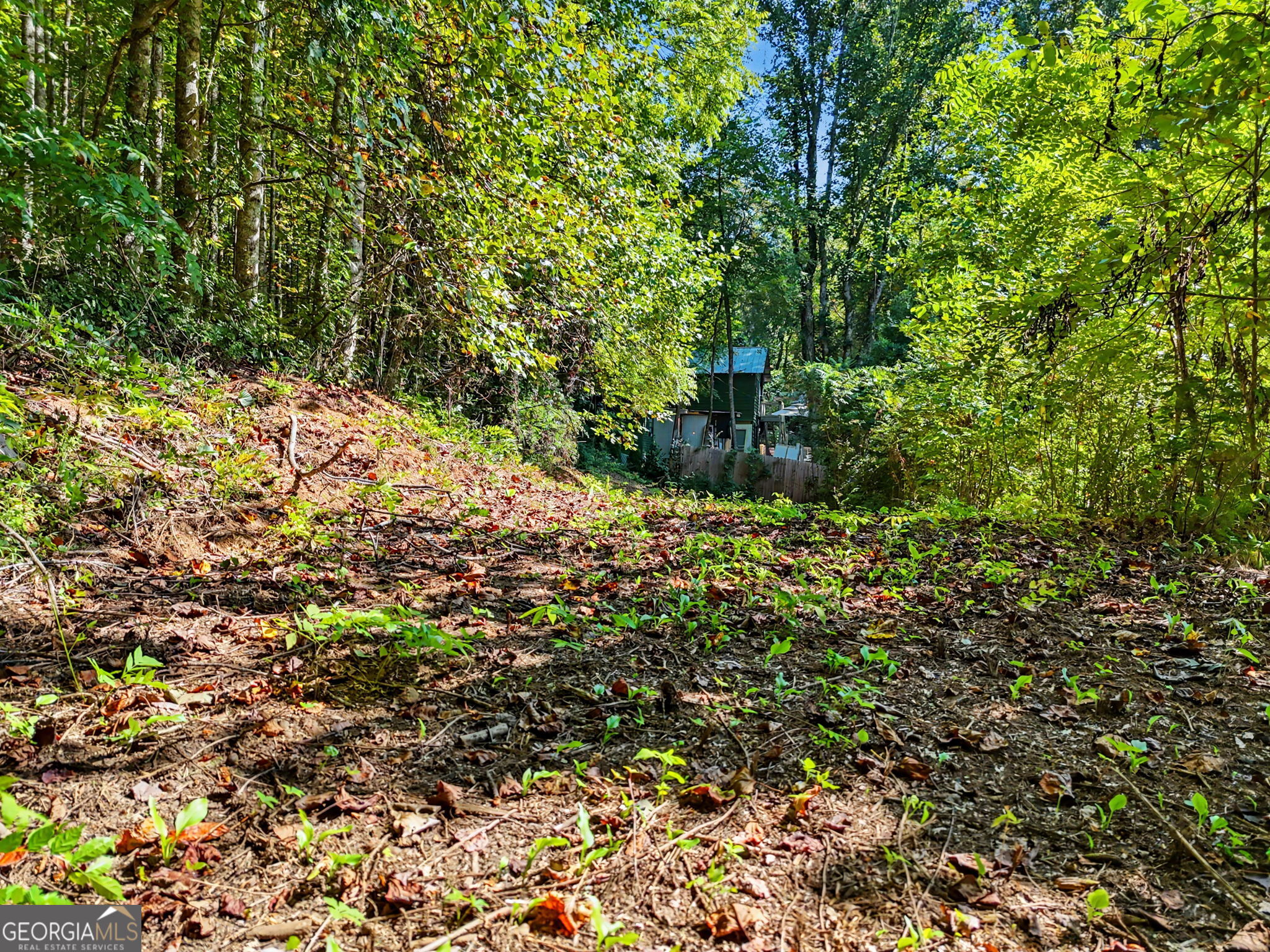 5093 Wolffork Road Rabun Gap, GA 30568 - Photo 57 of 59 Gallery Image 57