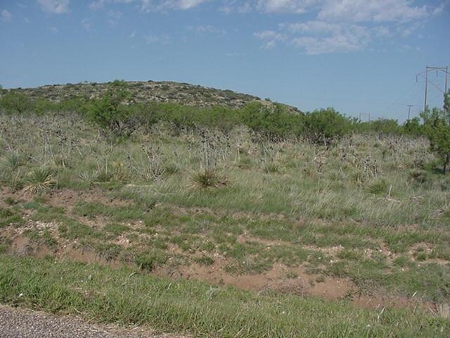 8001 Sharman Loop Amarillo, TX 79124 - Photo 1 of 1 Listing Photo