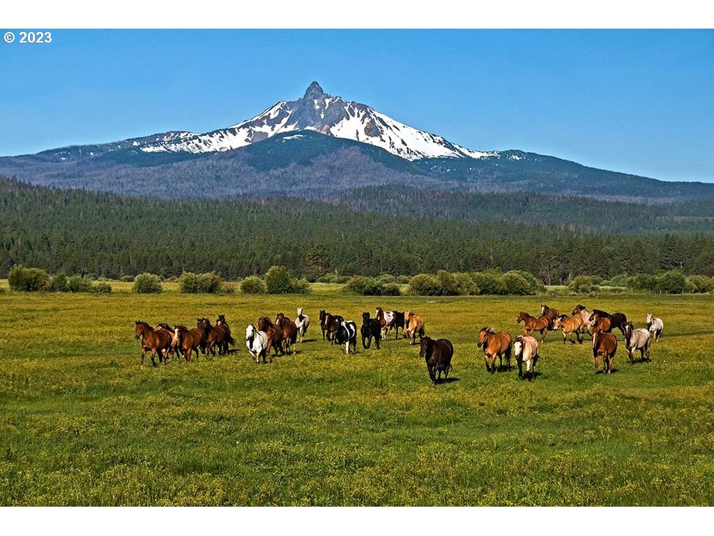 13772 Partridge Foot Black Butte Ranch, OR 97759 - Photo 3 of 7 Gallery Image 3