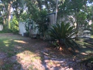 1311 County Rd Crescent Crescent City, FL 32112 - Photo 1 of 1 a view of a yard with plants and trees