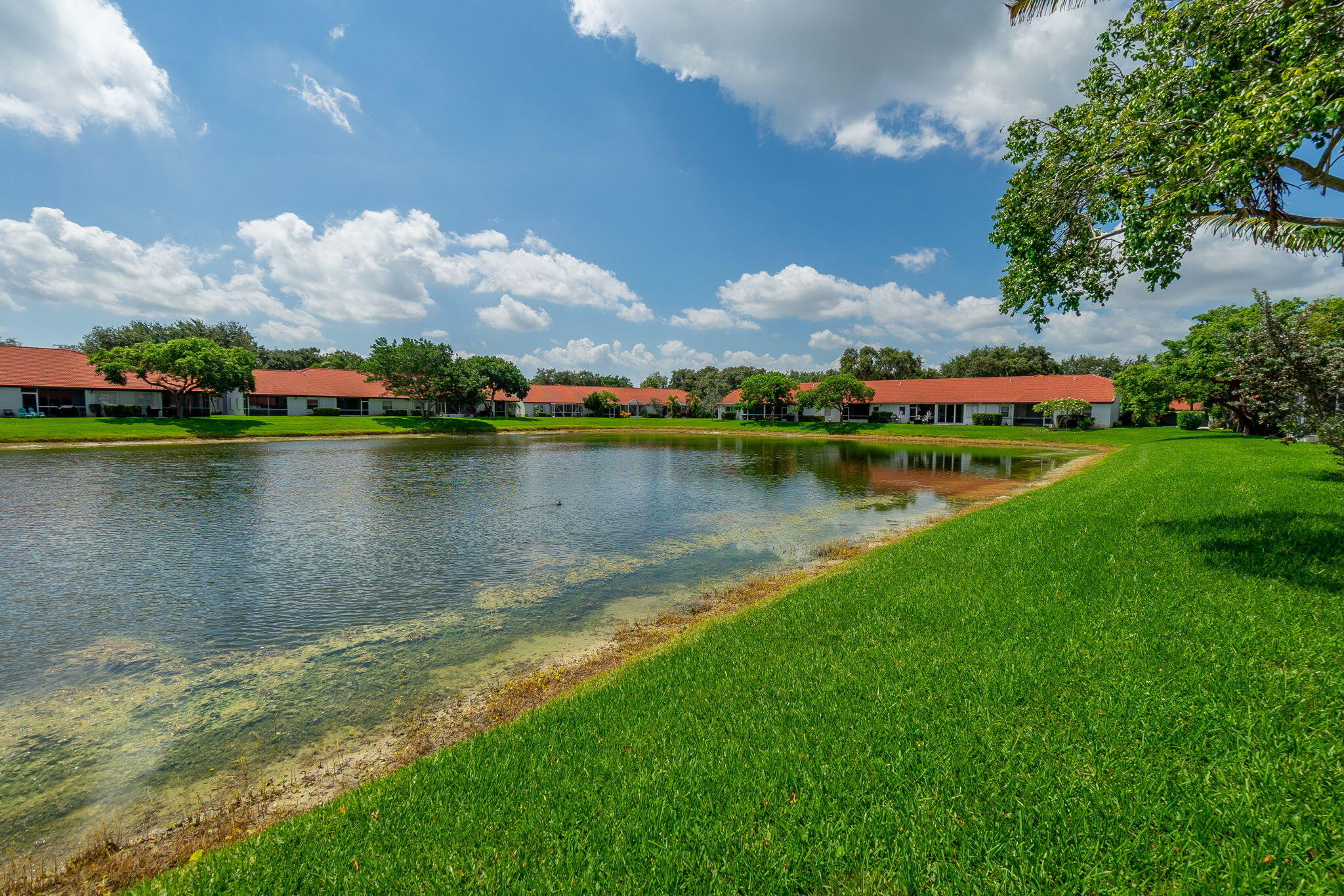 18404 Vía Di Regina Boca Raton, FL 33496 - Photo 29 of 47 29-web-or-mls-DSC05199