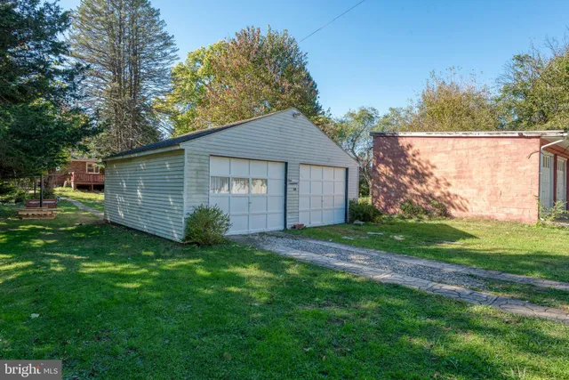a view of a backyard with plants and large tree