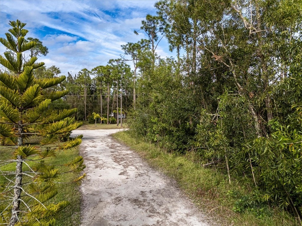20384 Idlewood Road North Fort Myers, FL 33917 - Photo 2 of 16 a view of a yard with plants and trees