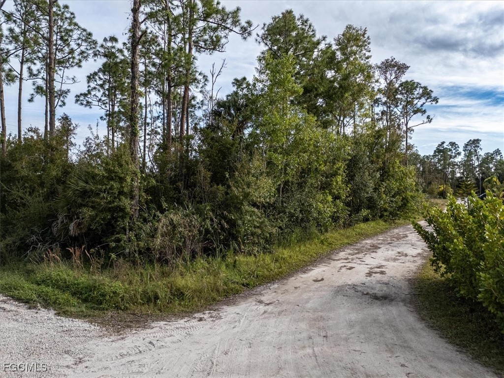 20384 Idlewood Road North Fort Myers, FL 33917 - Photo 3 of 16 a view of a dirt road with trees in the background