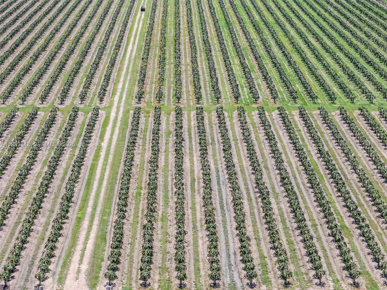 Miami-dade Southwest Sw Miami, FL 33196 - Photo 14 of 17 Photo 14