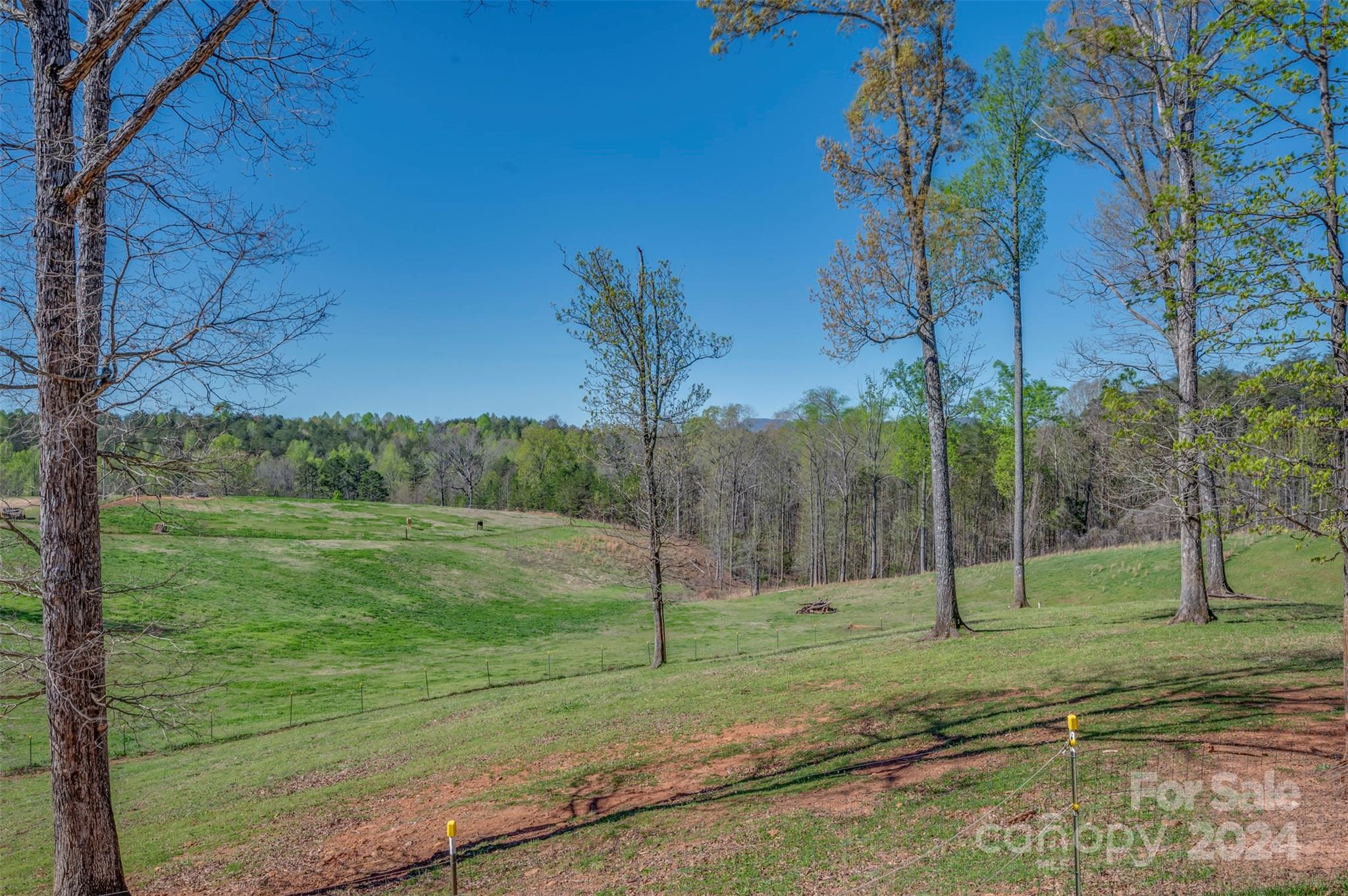 1975 Whiteside Road Mill Spring, NC 28756 - Photo 3 of 37 a view of a park