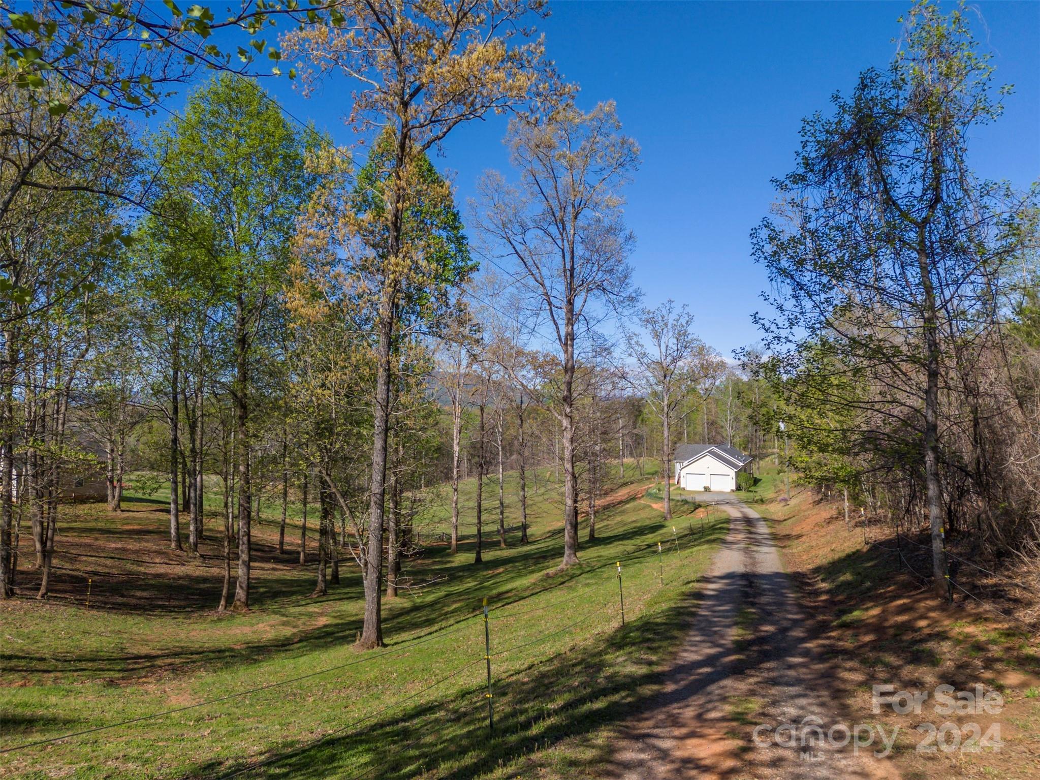 1975 Whiteside Road Mill Spring, NC 28756 - Photo 9 of 37 a view of a park with large trees