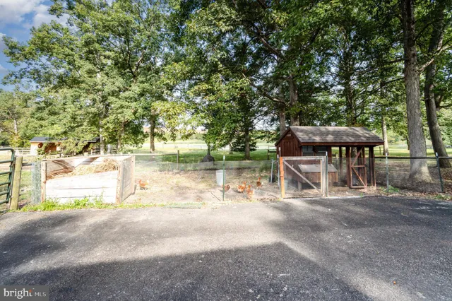 a view of a trees in a yard
