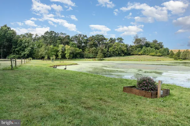 a view of a yard with an trees