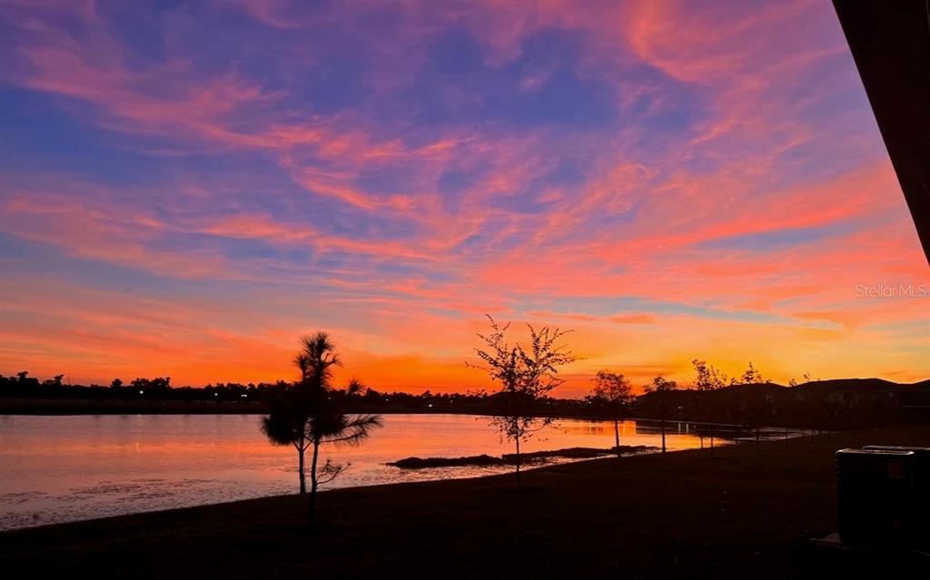 263 Mangrove Shade Circle Apollo Beach, FL 33572 - Photo 5 of 35