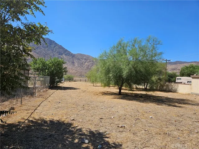 a view of a yard with a tree
