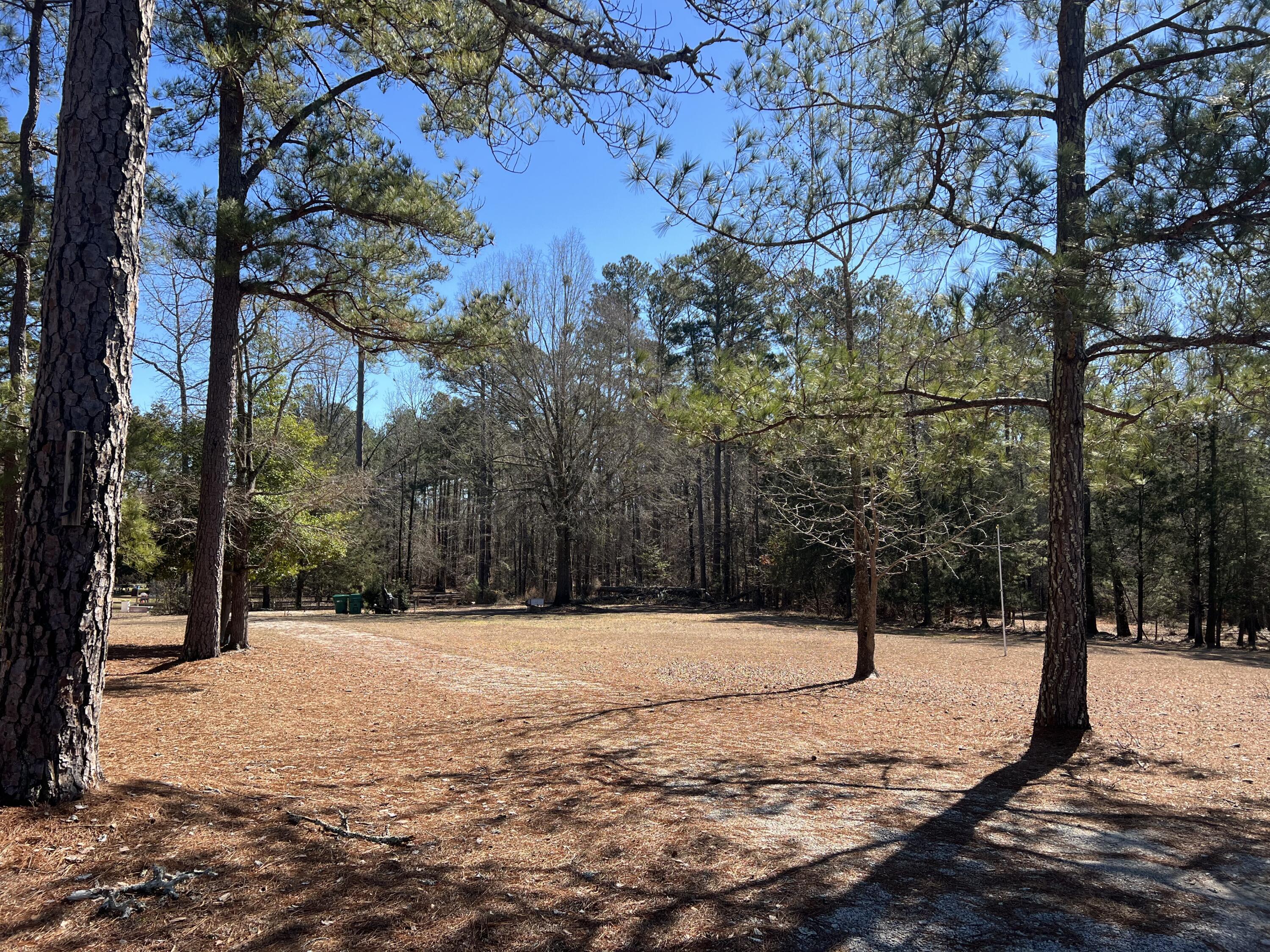 2369 Pine Ridge Road Appling, GA 30802 - Photo 1 of 8 Homesite