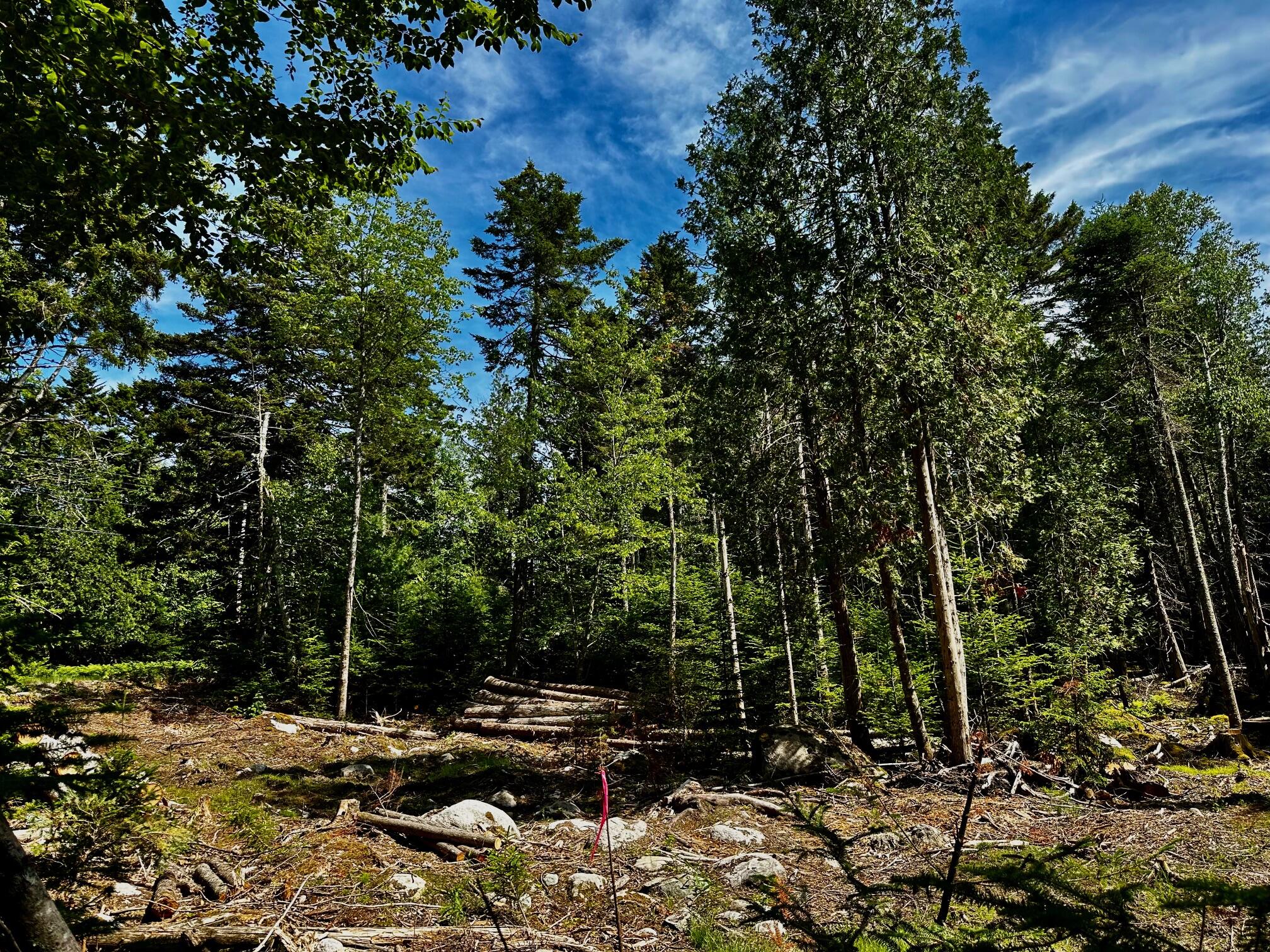 0 Flye Point, Unit LOT 1 Brooklin, ME 04616 - Photo 2 of 5 Lot 1 a