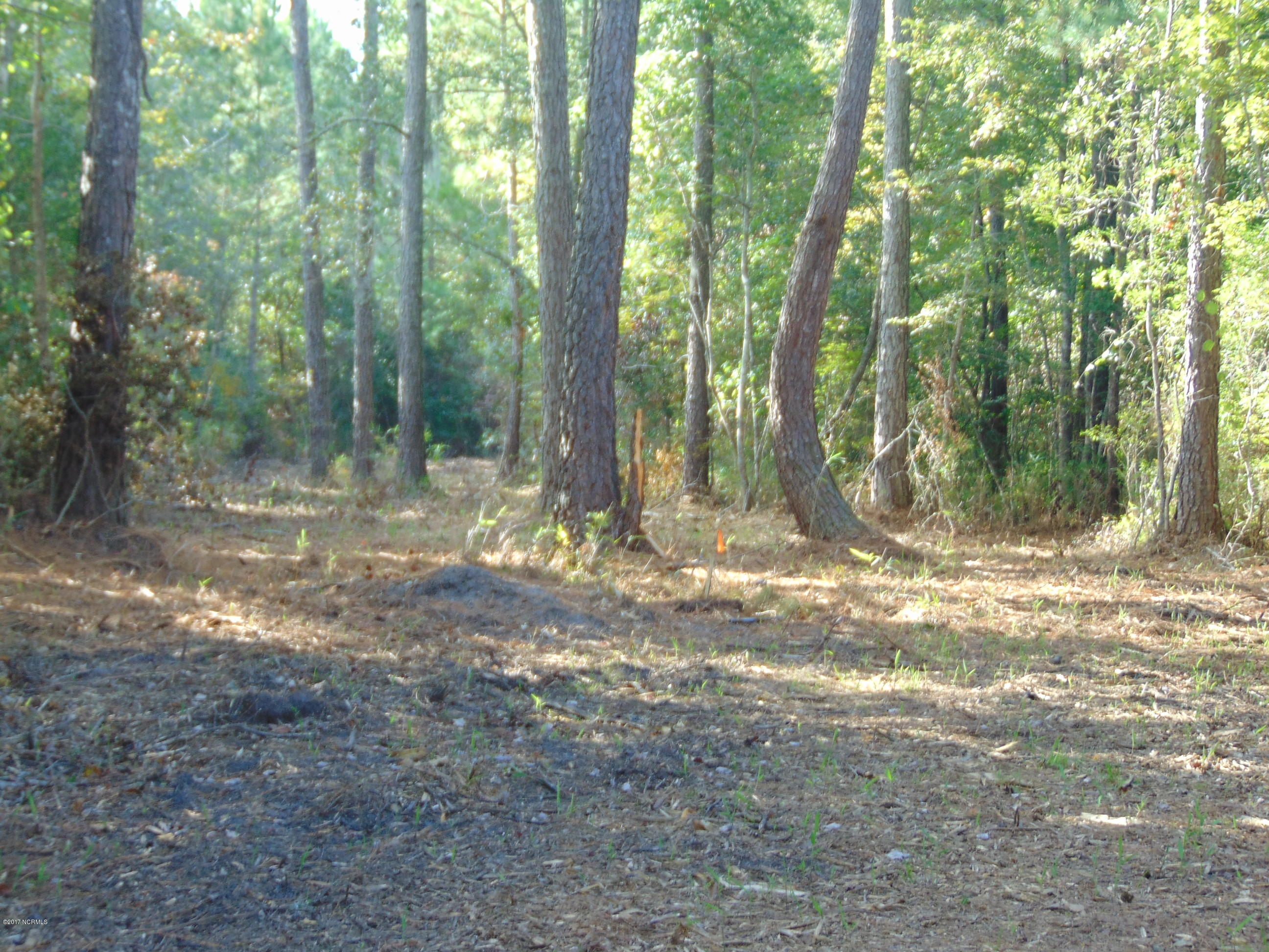 655 Minor Run Road Edward, NC 27821 - Photo 23 of 35 655 Minor Run Rd 028 - Copy - Copy - Cop