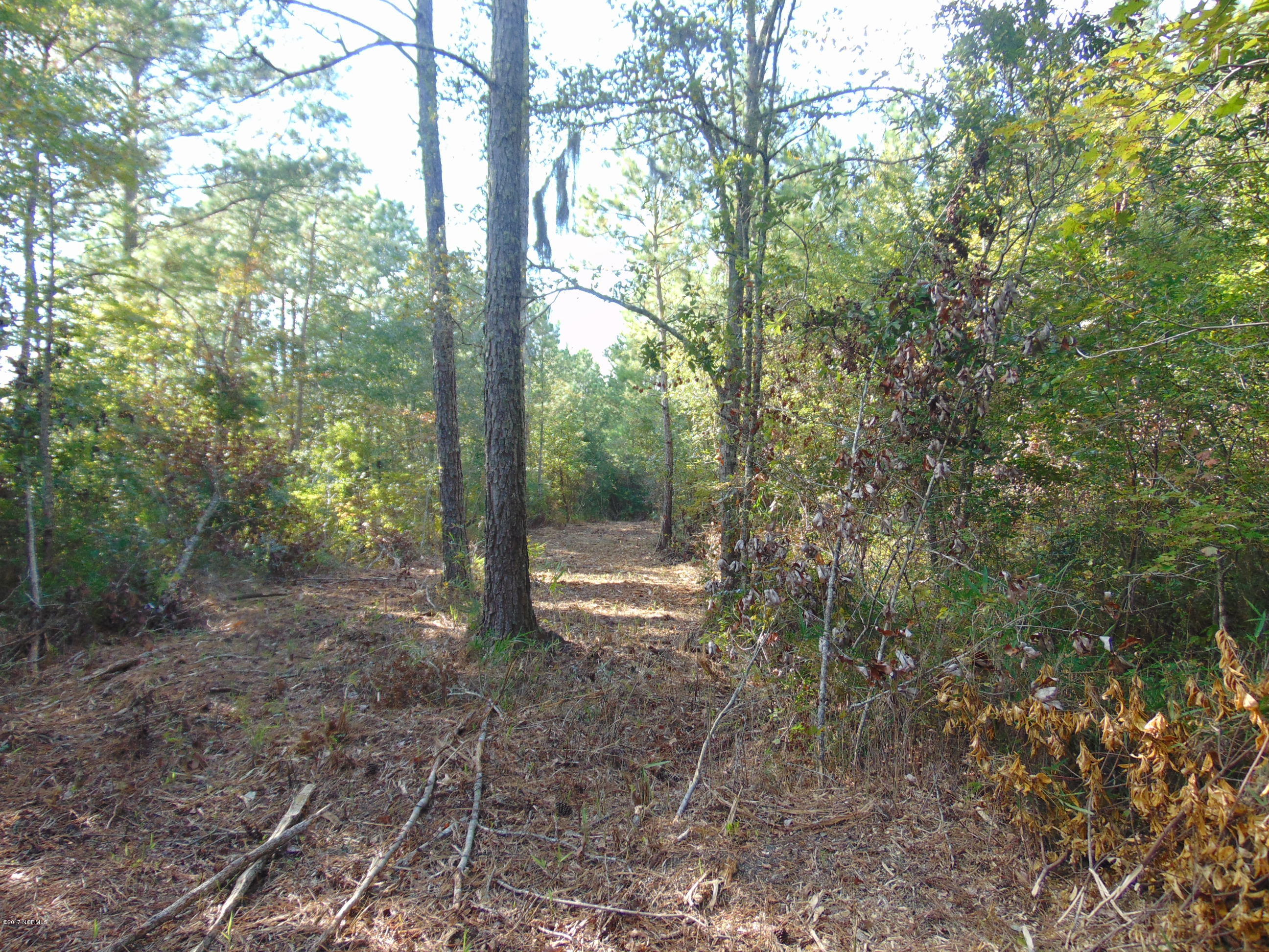 655 Minor Run Road Edward, NC 27821 - Photo 25 of 35 655 Minor Run Rd 030 - Copy - Copy - Cop
