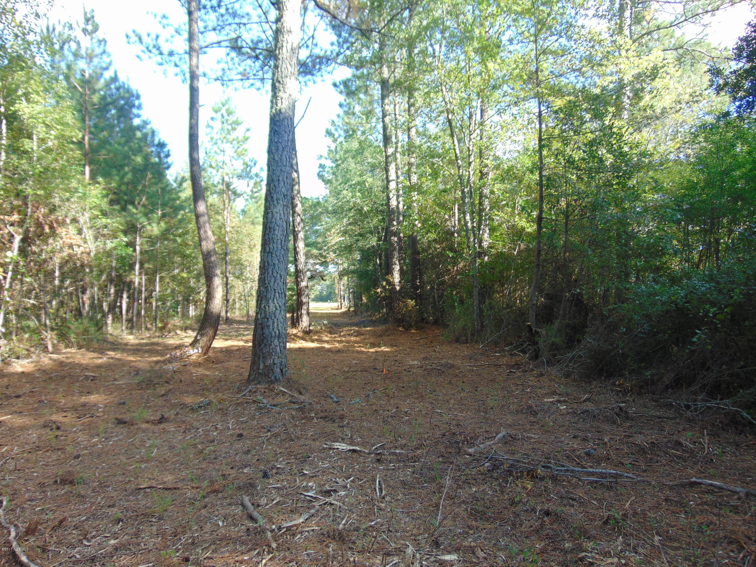 655 Minor Run Road Edward, NC 27821 - Photo 26 of 35 655 Minor Run Rd 031 - Copy - Copy - Cop