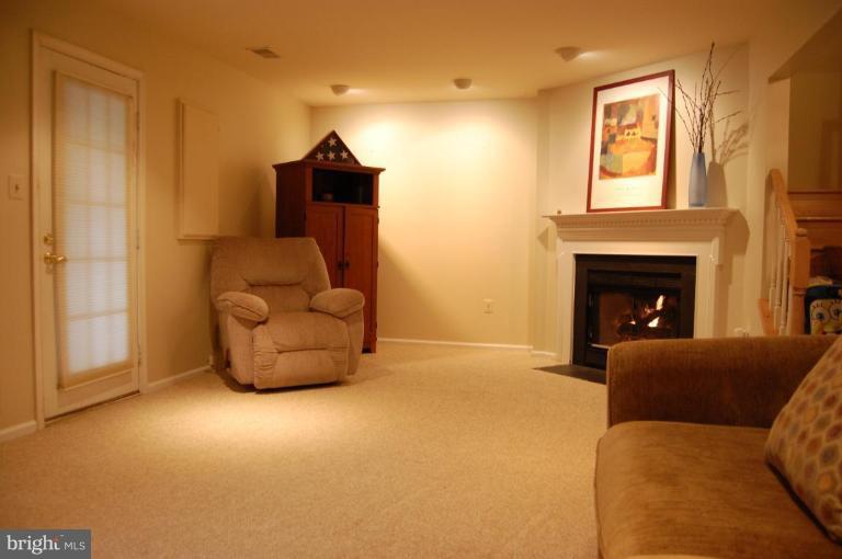20706 Riptide Square Sterling, VA 20165 - Photo 22 of 24 Basement #1