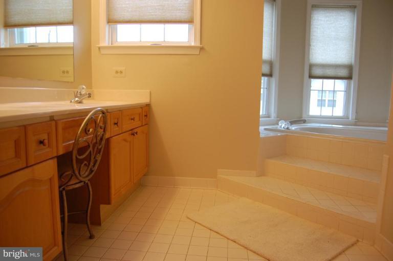 20706 Riptide Square Sterling, VA 20165 - Photo 7 of 24 Master Bath