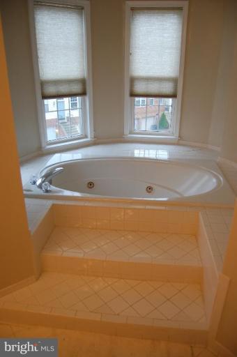 20706 Riptide Square Sterling, VA 20165 - Photo 8 of 24 Master Bath #2