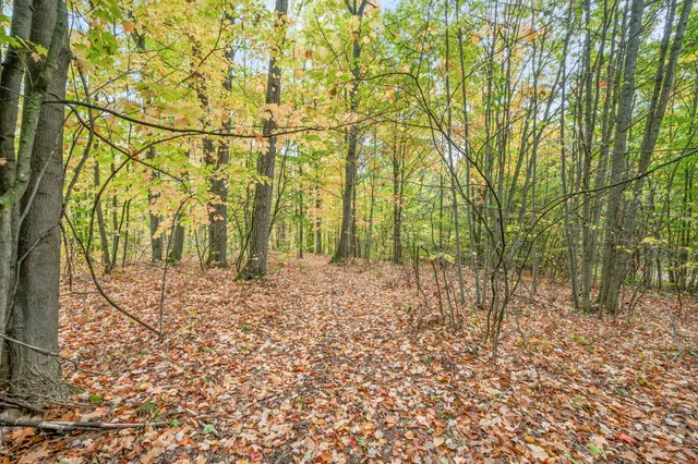 $68,000 | 13540 8 Mile Road, Evart, MI 49631