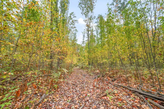 $68,000 | 13540 8 Mile Road, Evart, MI 49631