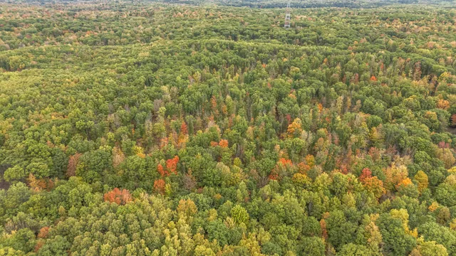 $68,000 | 13540 8 Mile Road, Evart, MI 49631