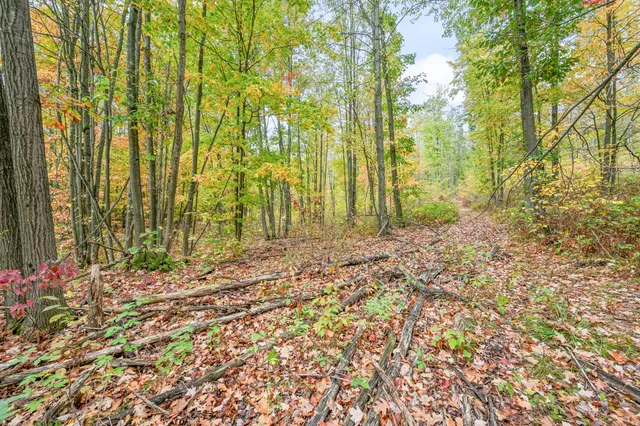 $68,000 | 13540 8 Mile Road, Evart, MI 49631