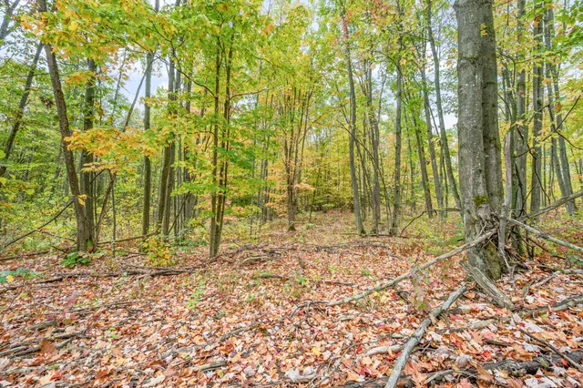 $68,000 | 13540 8 Mile Road, Evart, MI 49631