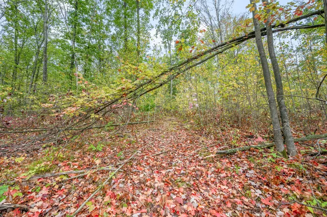 $68,000 | 13540 8 Mile Road, Evart, MI 49631