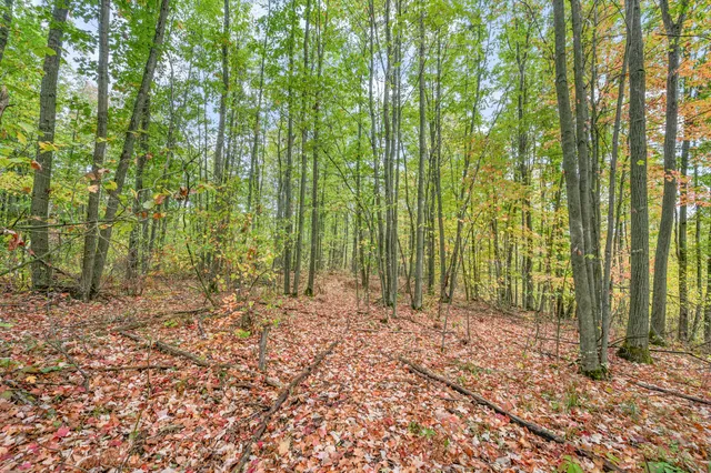 $68,000 | 13540 8 Mile Road, Evart, MI 49631