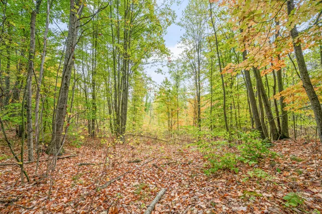 $68,000 | 13540 8 Mile Road, Evart, MI 49631