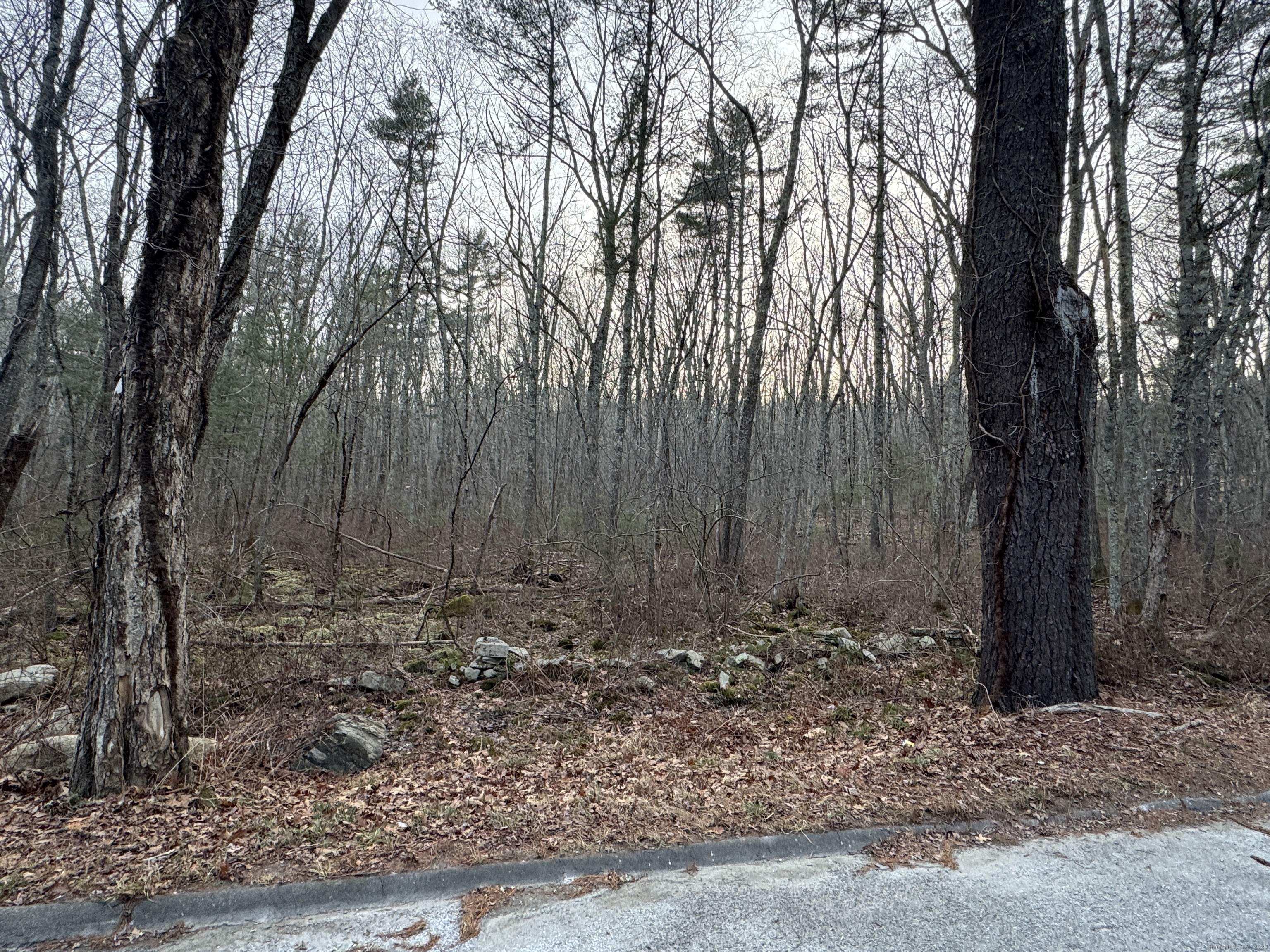 147 Kelly Road Killingly, CT 06241 - Photo 2 of 5 a view of a backyard