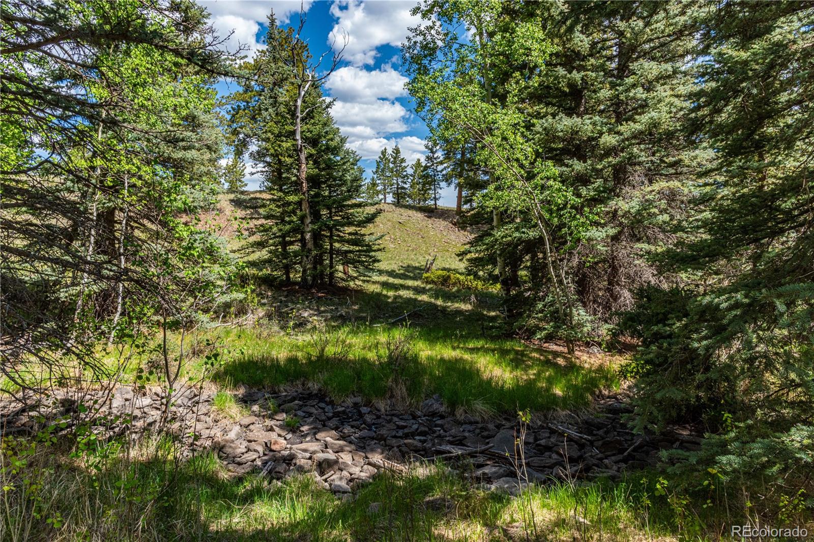 298 Steven Road Canon City, CO 81212 - Photo 11 of 35