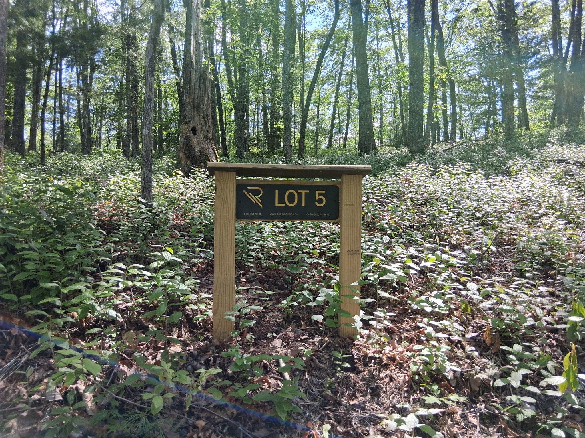 5 Lone Panther Ridge Sylva, NC 28779 - Photo 3 of 19 Gallery Image 3