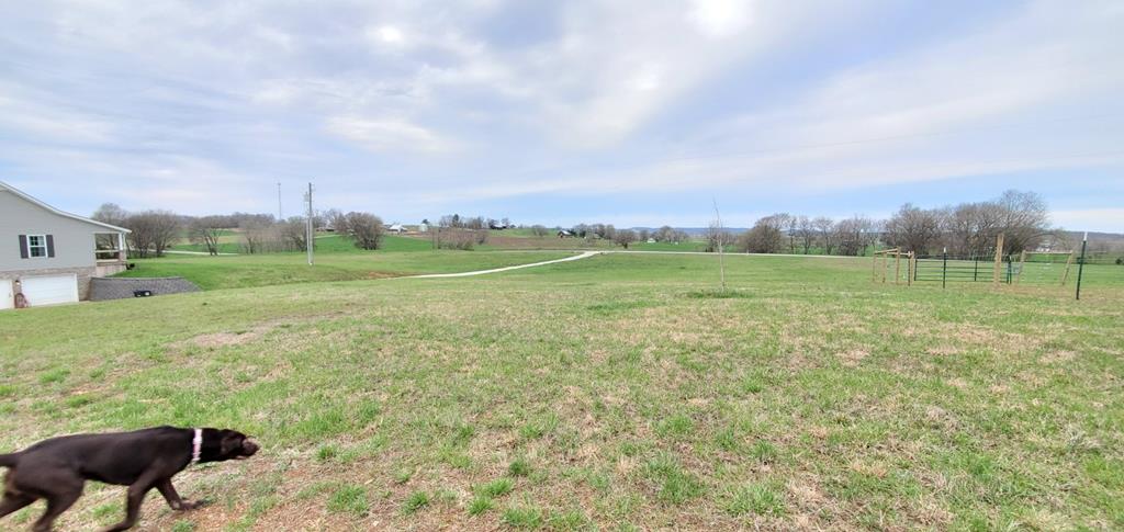 221 Griderville Road Cave City, KY 42127 - Photo 17 of 73 Gallery Image 17
