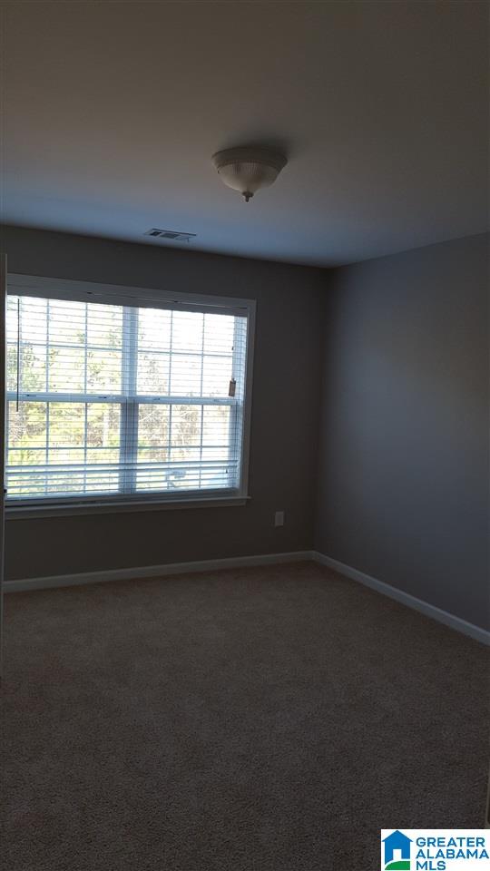 6301 Letson Farm Trail Bessemer, AL 35022 - Photo 13 of 18