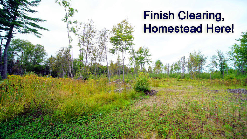 Lot 4 Callaghan Road Houlton, ME 04730 - Photo 21 of 23 davis-callaghan-rd-land-5