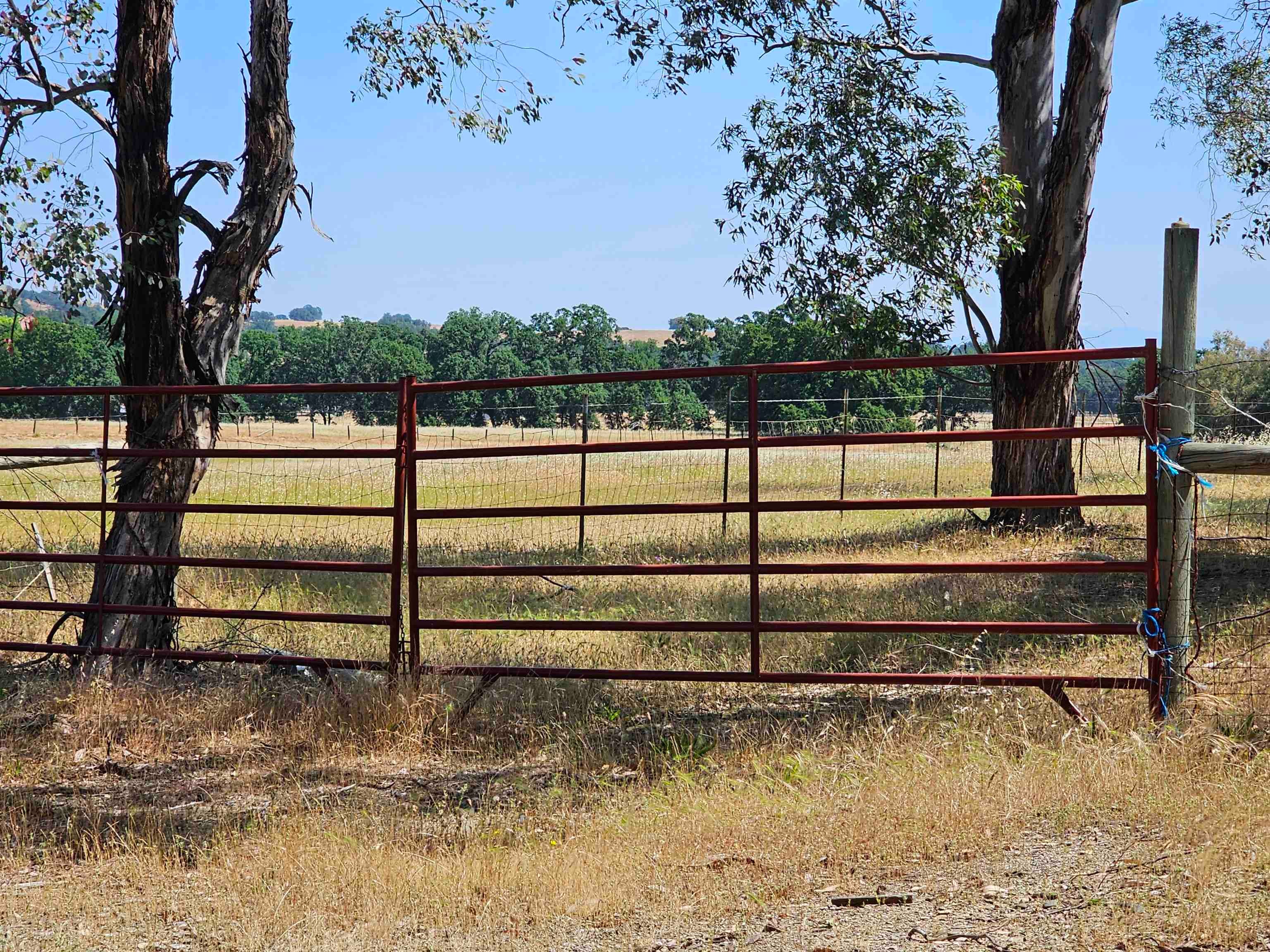 17300 Red Bank Road Red Bluff, CA 96080 - Photo 58 of 67 Gallery Image 58